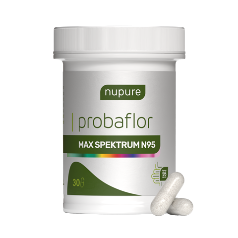 Probaflor MAX SPEKTRUM N95